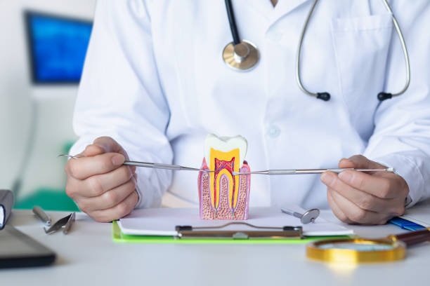 Best Pediatric Emergency Dentist in Columbia, MS